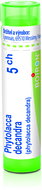 Phytolacca Decandra 5CH granules 4 g - Homeopathic Remedies
