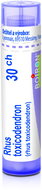 Rhus Toxicodendron 30CH granules 4 g - Homeopathic Remedies