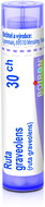 Ruta Graveolens 30CH granule 4 g - Homeopatika