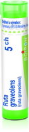 Ruta Graveolens 5CH granule 4 g - Homeopatika