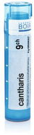 Cantharis 9CH granule 4 g - Homeopatika