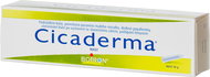 Cicaderma ointment 30 g - Homeopathic Remedies