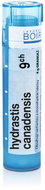 Hydrastis Canadensis 9CH granules 4 g - Homeopathic Remedies