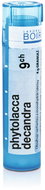 Phytolacca Decandra 9CH granules 4 g - Homeopathic Remedies