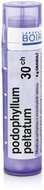 Podophyllum Peltatum 30CH granules 4 g - Homeopathic Remedies