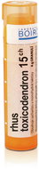 Rhus Toxicodendron 15CH granules 4 g - Homeopathic Remedies