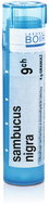 Sambucus Nigra 9CH granules 4 g - Homeopathic Remedies
