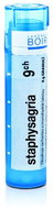Staphysagria 9CH granules 4 g - Homeopathic Remedies