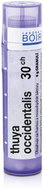 Thuya Occidentalis 30CH granules 4 g - Homeopathic Remedies