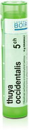 Thuya Occidentalis 5CH granule 4 g - Homeopatika