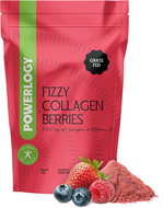 Powerlogy Fizzy Collagen Berries 300 g - Colagen