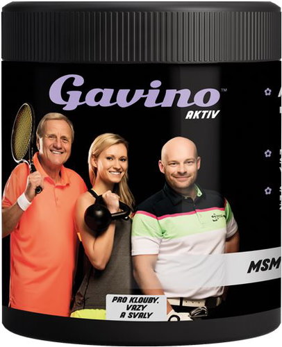 Gavino AKTIV MSM 700 - Joint Nutrition - Main image