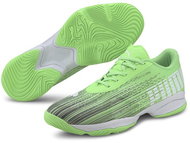 PUMA Adrenalite 2.1, Green/Black, EU 47/310mm - Indoor Shoes