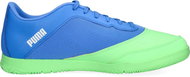 PUMA 365 FUTSAL 2, Blue/Green, EU 46.5/305mm - Indoor Shoes