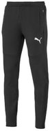 Puma ECOSTRIPE Pants Black XL - Sweatpants