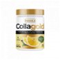 PureGold CollaGold + kys. hyalurónová 300 g, citrón - Kĺbová výživa