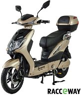 Racceway E-Fichtl, 12Ah, Light Gold-Glossy - Electric Scooter