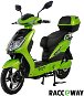 Racceway E-Fichtl, 12Ah, Light Green-Metallic - Electric Scooter
