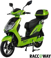 Racceway E-Fichtl, 12Ah, Light Green-Metallic - Electric Scooter