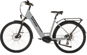 Raticon CEB05 - Electric Bike