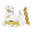 White/Gold