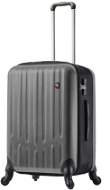 Travel Suitcase MIA TORO M1301/3-M - Silver - Suitcase