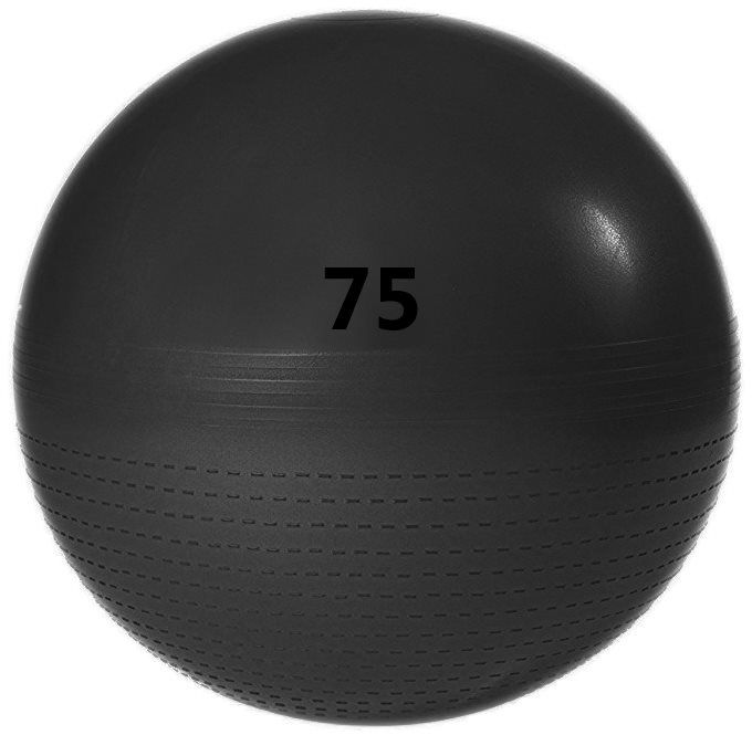 Adidas gym 2025 ball 75cm