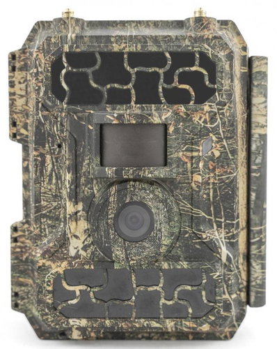 OXE Panther 4G + 32 GB SD card, SIM card and 12 batteries - Camera Trap - Main image