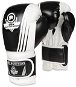 DBX BUSHIDO B-2v3A size 12 oz white-black - Boxing Gloves