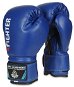 Boxing Gloves DBX BUSHIDO ARB-407V4 size 6 oz blue - Boxerské rukavice