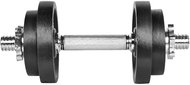 RULYT Angular loading, one-handed 10 kg, 30 mm rod/4 × disc - Dumbell