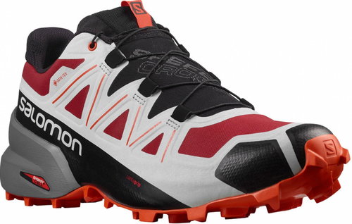 Salomon Speedcross 5 GTX Chili/Pearl Blue EU 42 / 260 mm - Trekking Shoes - Main image
