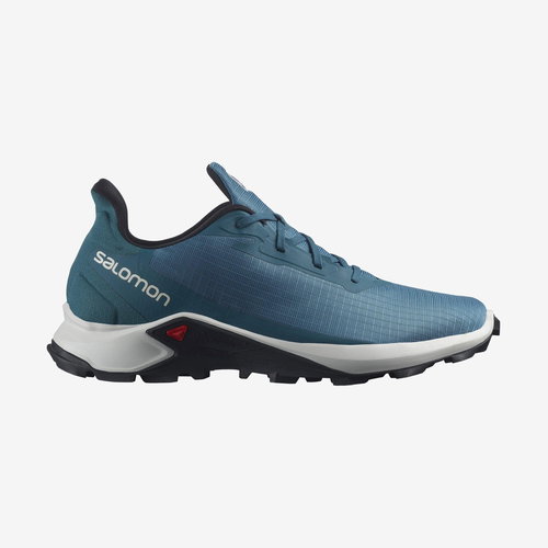 Salomon ALPHACROSS 3 Bluesteel/LunRoc/Blac EU 40,67 / 255 mm - Trekking Shoes - Main image