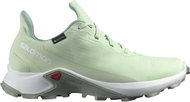 Salomon Alphacross 3 GTX W Spray/Wht/Wroug EU 38 2/3 / 235 cm - Trekking Shoes