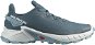 Salomon Alphacross 4 W Stargazer/White/Bl EU 42 / 260 mm - Trekking Shoes