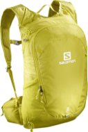 Salomon TRAILBLAZER 20 Citronelle/Alloy - Tourist Backpack