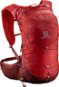 Salomon XT 15 Goji Berry/Madder Brown - Tourist Backpack