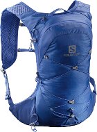 Salomon XT 10 Nebulas, Blue/Alloy - Tourist Backpack