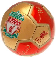 Fan-shop Liverpool FC 26 Panel Signature - Football 