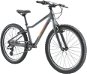 Children's Bike Sava Barn 4.2 Grey, size M/24" - Dětské kolo