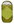 Kiwi green/green