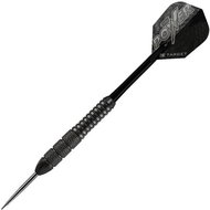 Darts TARGET steel POWER STORM 22g - Phil Taylor, BRASS - Darts