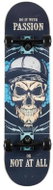 Area Passion Complete Skateboard - Skateboard