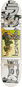 Crandon 8" Zen - Skateboard
