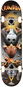 Crandon 8,25" Chain - Skateboard