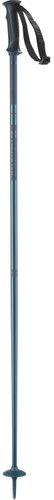 Salomon Arctic, Blue, size 130cm - Ski Poles - Main image