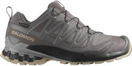 Salomon XA Pro 3D V9 GTX W Plum Kitten/Black/Gull - Running Shoes