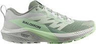 Salomon Sense Ride 5 W Lily Pad/Metal/Green Ash EU 38 / 230 mm - Running Shoes
