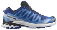 Salomon XA PRO 3D V9 Surf The Web/Ibiza Blue/White - Trekking Shoes
