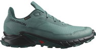 Salomon Alphacross 5 GTX Noat/Black/Sea Mo - Running Shoes